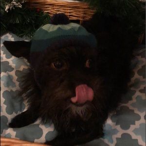 Meet your Posher, Valentina